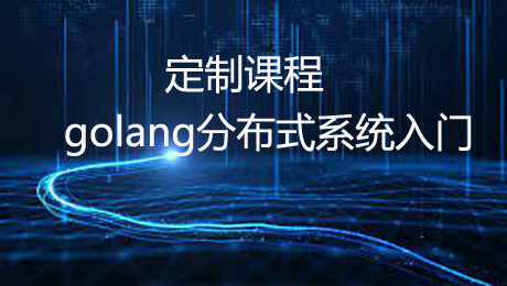 VIP定制:golang分布式入门